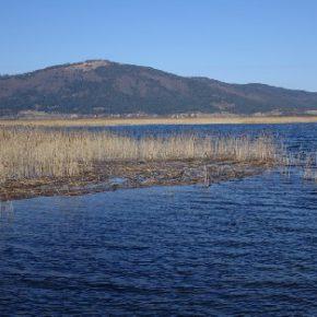 686 5 290x290 - Jezero zalito