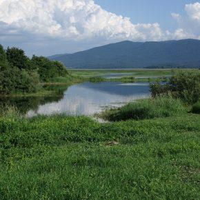 DSC06955 290x290 - JEZERO USIHA