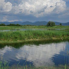DSC06960 290x290 - JEZERO USIHA