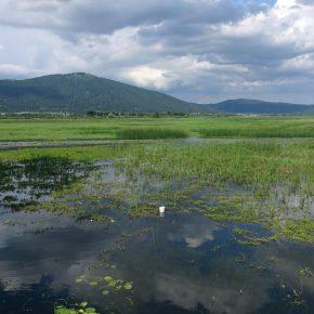 DSC06965 290x290 - JEZERO USIHA