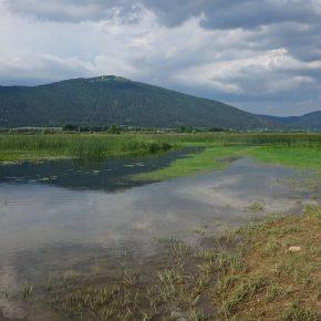 DSC06972 290x290 - JEZERO USIHA