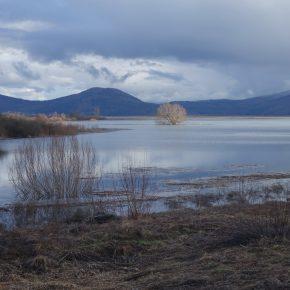 CERKNI&Scaron;KO JEZERO 01 290x290 - JEZERO ZALITO IN RAZLITO