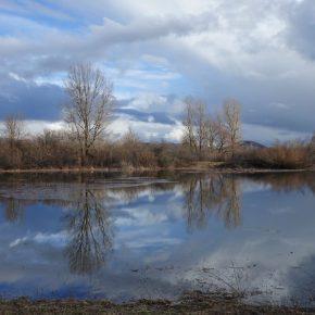 CERKNI&Scaron;KO JEZERO 02 290x290 - JEZERO ZALITO IN RAZLITO