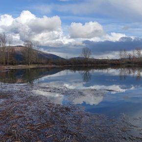 CERKNI&Scaron;KO JEZERO 03 290x290 - JEZERO ZALITO IN RAZLITO