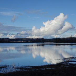CERKNI&Scaron;KO JEZERO 04 290x290 - JEZERO ZALITO IN RAZLITO