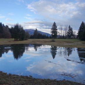CERKNI&Scaron;KO JEZERO 05 290x290 - JEZERO ZALITO IN RAZLITO
