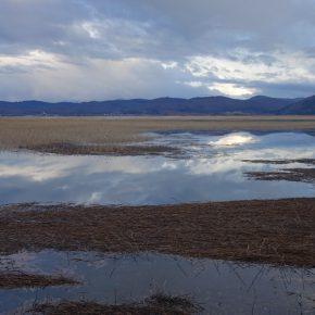 CERKNI&Scaron;KO JEZERO 06 290x290 - JEZERO ZALITO IN RAZLITO