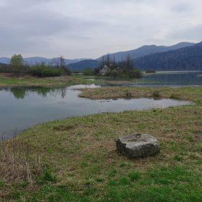 DSC04615 resize 290x290 - DEŽEVJE DVIGNILO JEZERSKO GLADINO