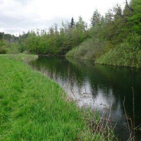 DSC05616 resize 290x290 - &Scaron;ČUKOLOV MOŽEN TUDI V RAKOVEM &Scaron;KOCJANU