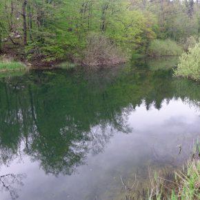 DSC05623 resize 290x290 - &Scaron;ČUKOLOV MOŽEN TUDI V RAKOVEM &Scaron;KOCJANU