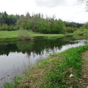 DSC05625 resize 290x290 - &Scaron;ČUKOLOV MOŽEN TUDI V RAKOVEM &Scaron;KOCJANU