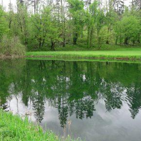 DSC05626 resize 290x290 - &Scaron;ČUKOLOV MOŽEN TUDI V RAKOVEM &Scaron;KOCJANU