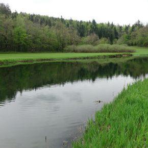 DSC05627 resize 290x290 - &Scaron;ČUKOLOV MOŽEN TUDI V RAKOVEM &Scaron;KOCJANU