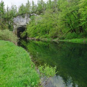 DSC05628 resize 290x290 - &Scaron;ČUKOLOV MOŽEN TUDI V RAKOVEM &Scaron;KOCJANU