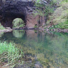 DSC05633 resize 290x290 - &Scaron;ČUKOLOV MOŽEN TUDI V RAKOVEM &Scaron;KOCJANU