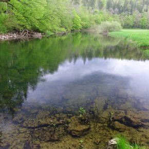 DSC05635 resize 290x290 - &Scaron;ČUKOLOV MOŽEN TUDI V RAKOVEM &Scaron;KOCJANU