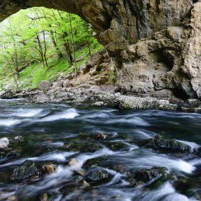 DSC05641 resize 290x290 - &Scaron;ČUKOLOV MOŽEN TUDI V RAKOVEM &Scaron;KOCJANU