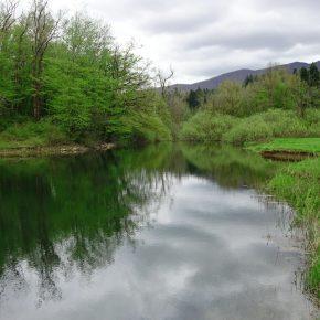 DSC05648 resize 290x290 - &Scaron;ČUKOLOV MOŽEN TUDI V RAKOVEM &Scaron;KOCJANU