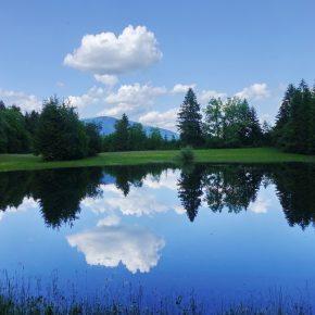 DSC07807 resize 290x290 - JEZERO LEPO ZALITO