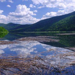 DSC07813 resize 290x290 - JEZERO LEPO ZALITO