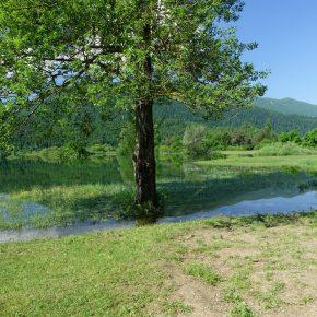 DSC07829 resize 290x290 - JEZERO LEPO ZALITO