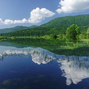 DSC07835 resize 290x290 - JEZERO LEPO ZALITO
