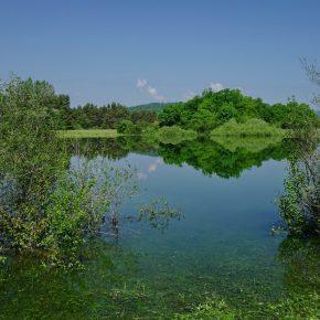 DSC07841 resize 290x290 - JEZERO LEPO ZALITO
