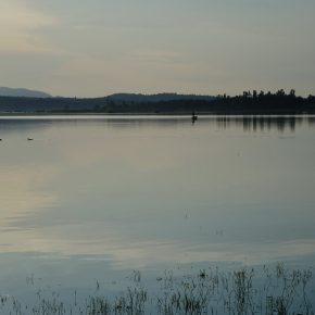 DSC07857 resize 290x290 - JEZERO LEPO ZALITO