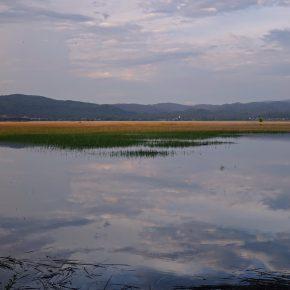 DSC07865 resize 290x290 - JEZERO LEPO ZALITO