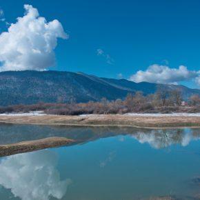 DSC03191 resize 290x290 - KURENT PRINESEL ZIMO