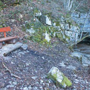 DSC03352 resize 290x290 - POPOLDANSKI POBEG PRED KORONA VIRUSOM