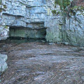 DSC03353 resize 290x290 - POPOLDANSKI POBEG PRED KORONA VIRUSOM