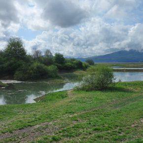 DSC05041 resize 290x290 - JEZERO SE POLNI