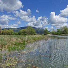 DSC05108 resize 290x290 - JEZERO SE POLNI