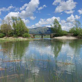 DSC05112 resize 290x290 - JEZERO SE POLNI