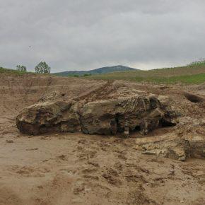 DSC05464 resize 290x290 - JEZERO PONOVNO PRESAHNILO