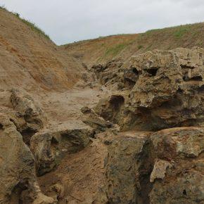 DSC05467 resize 290x290 - JEZERO PONOVNO PRESAHNILO