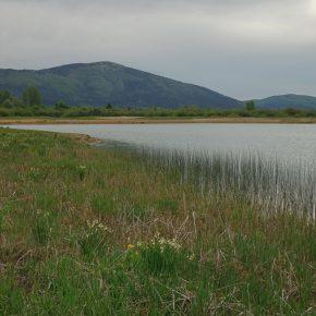 DSC05496 resize 290x290 - JEZERO PONOVNO PRESAHNILO