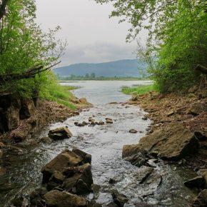 DSC05701 resize 290x290 - DEŽEVJE PONOVNO NAPOLNILO JEZERO