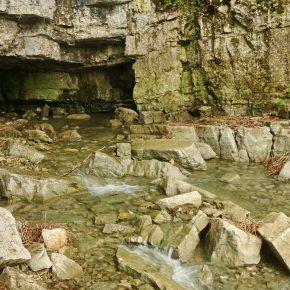 DSC05706 resize 290x290 - DEŽEVJE PONOVNO NAPOLNILO JEZERO