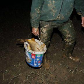 NOČNO RE&Scaron;EVANJE RE&Scaron;ETO Foto Tine &Scaron;ubic 04 290x290 - NOČNO RE&Scaron;EVANJE V RE&Scaron;ETU