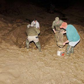 NOČNO RE&Scaron;EVANJE RE&Scaron;ETO Foto Tine &Scaron;ubic 08 290x290 - NOČNO RE&Scaron;EVANJE V RE&Scaron;ETU