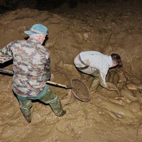 NOČNO RE&Scaron;EVANJE RE&Scaron;ETO Foto Tine &Scaron;ubic 11 290x290 - NOČNO RE&Scaron;EVANJE V RE&Scaron;ETU