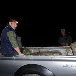 NOČNO RE&Scaron;EVANJE RE&Scaron;ETO Foto Tine &Scaron;ubic 31 290x290 - NOČNO RE&Scaron;EVANJE V RE&Scaron;ETU