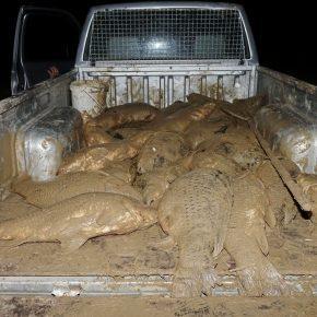 NOČNO RE&Scaron;EVANJE RE&Scaron;ETO Foto Tine &Scaron;ubic 33 290x290 - NOČNO RE&Scaron;EVANJE V RE&Scaron;ETU