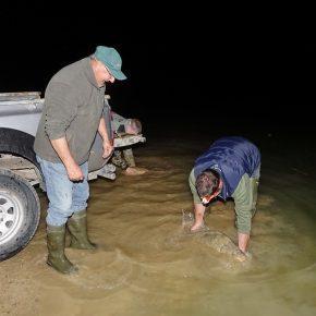 NOČNO RE&Scaron;EVANJE RE&Scaron;ETO Foto Tine &Scaron;ubic 42 290x290 - NOČNO RE&Scaron;EVANJE V RE&Scaron;ETU