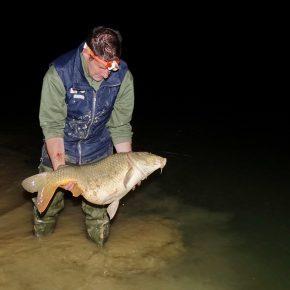 NOČNO RE&Scaron;EVANJE RE&Scaron;ETO Foto Tine &Scaron;ubic 43 290x290 - NOČNO RE&Scaron;EVANJE V RE&Scaron;ETU