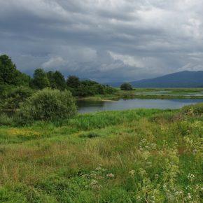 DSC00734 resize 290x290 - JZERU JE, JZERA NEJ