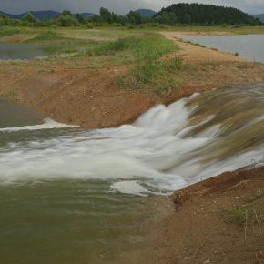 DSC00743 resize 290x290 - JZERU JE, JZERA NEJ