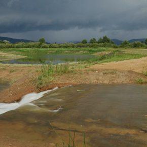 DSC00747 resize 290x290 - JZERU JE, JZERA NEJ